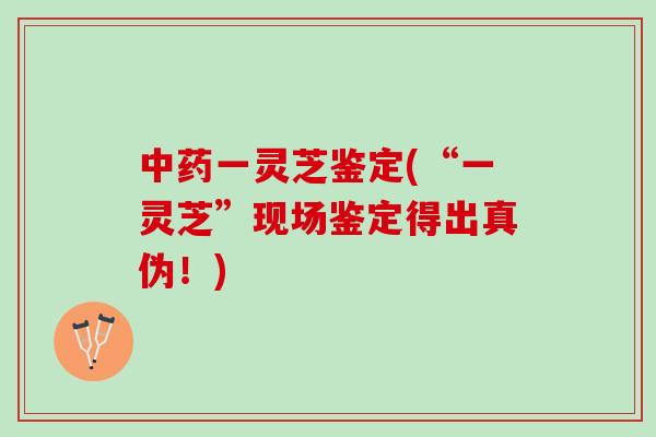 中药一灵芝鉴定(“一灵芝”现场鉴定得出真伪！)