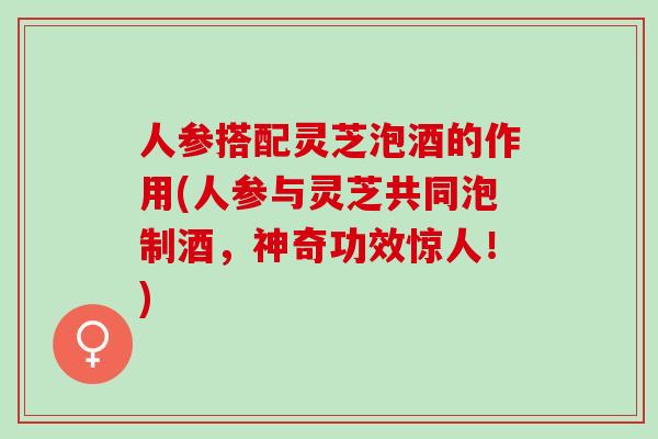 人参搭配灵芝泡酒的作用(人参与灵芝共同泡制酒,神奇功效惊人!) 人参搭配灵芝泡酒的作用(人参与灵芝共同泡制酒,神奇功效惊人!)