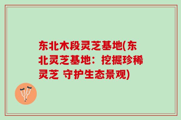 东北木段灵芝基地(东北灵芝基地：挖掘珍稀灵芝 守护生态景观)