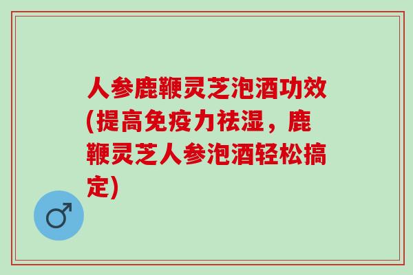 人参鹿鞭灵芝泡酒功效(提高免疫力祛湿，鹿鞭灵芝人参泡酒轻松搞定)
