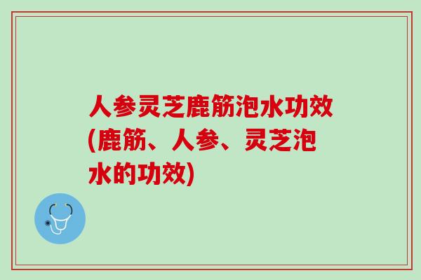 人参灵芝鹿筋泡水功效(鹿筋、人参、灵芝泡水的功效)
