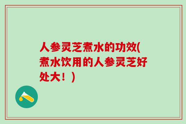 人参灵芝煮水的功效(煮水饮用的人参灵芝好处大！)