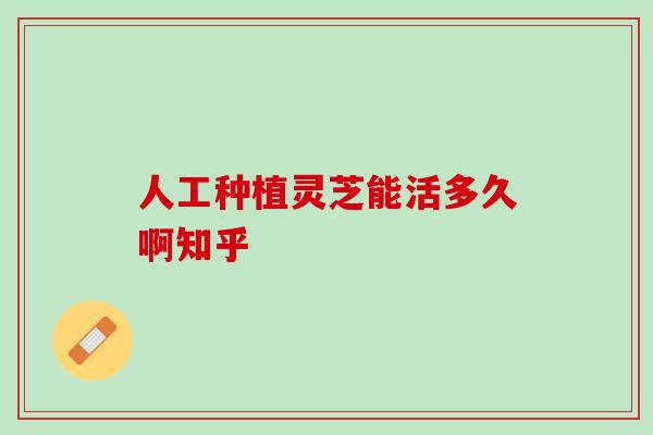人工种植灵芝能活多久啊知乎 人工种植灵芝能活多久啊知乎