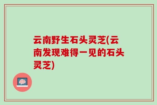 云南野生石头灵芝(云南发现难得一见的石头灵芝)