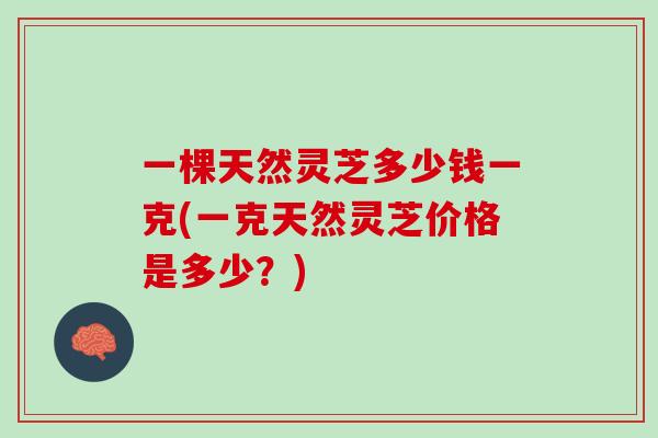 一棵天然灵芝多少钱一克(一克天然灵芝价格是多少？)