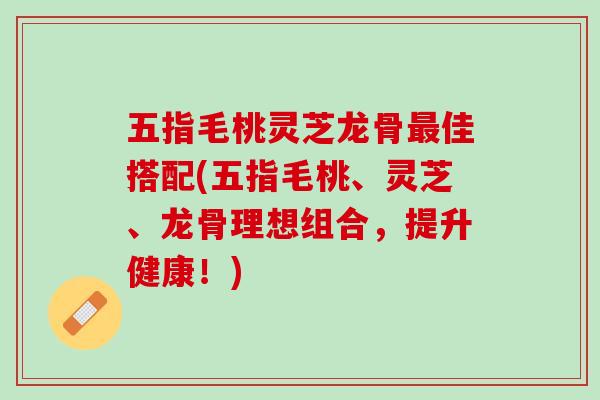 五指毛桃灵芝龙骨佳搭配(五指毛桃、灵芝、龙骨理想组合，提升健康！)
