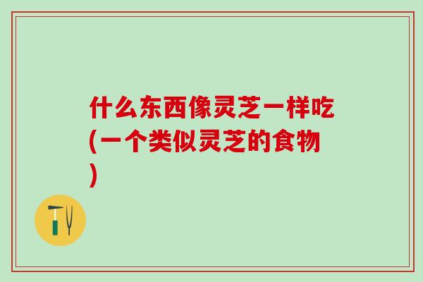 什么东西像灵芝一样吃(一个类似灵芝的食物)