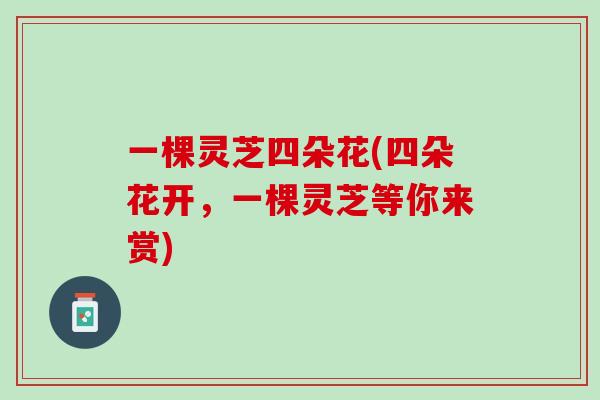 一棵灵芝四朵花(四朵花开，一棵灵芝等你来赏)
