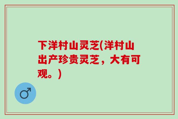 下洋村山灵芝(洋村山出产珍贵灵芝,大有可观。) 下洋村山灵芝(洋村山出产珍贵灵芝,大有可观。)