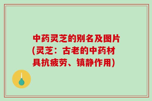 中药灵芝的别名及图片(灵芝：古老的中药材具抗疲劳、镇静作用)