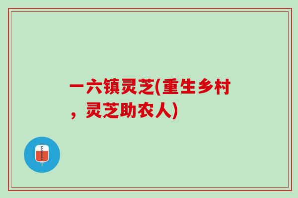 一六镇灵芝(重生乡村，灵芝助农人)
