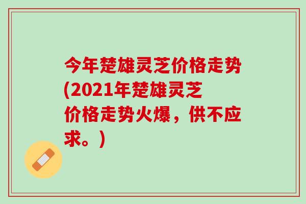 今年楚雄灵芝价格走势(2021年楚雄灵芝价格走势火爆，供不应求。)