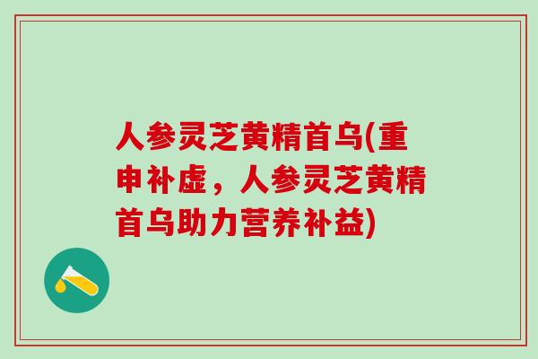 人参灵芝黄精首乌(重申补虚,人参灵芝黄精首乌助力营养补益) 人参灵芝黄精首乌(重申补虚,人参灵芝黄精首乌助力营养补益)