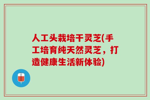 人工头栽培干灵芝(手工培育纯天然灵芝，打造健康生活新体验)