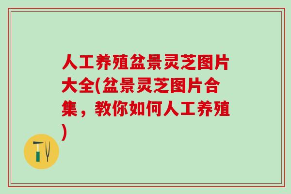 人工养殖盆景灵芝图片大全(盆景灵芝图片合集，教你如何人工养殖)
