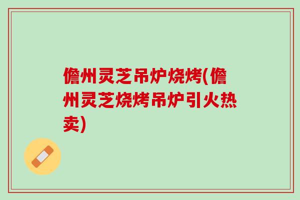 儋州灵芝吊炉烧烤(儋州灵芝烧烤吊炉引火热卖)
