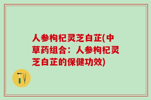 人参枸杞灵芝白芷(中草药组合:人参枸杞灵芝白芷的保健功效) 人参枸杞灵芝白芷(中草药组合:人参枸杞灵芝白芷的保健功效)