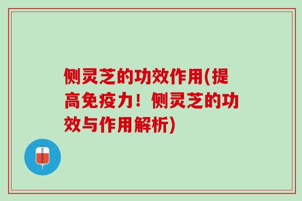 侧灵芝的功效作用(提高免疫力！侧灵芝的功效与作用解析)
