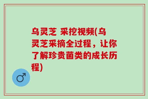 乌灵芝 采挖视频(乌灵芝采摘全过程,让你了解珍贵菌类的成长历程) 乌灵芝 采挖视频(乌灵芝采摘全过程,让你了解珍贵菌类的成长历程)