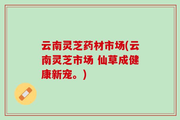 云南灵芝药材市场(云南灵芝市场 仙草成健康新宠。)