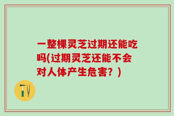 一整棵灵芝过期还能吃吗(过期灵芝还能不会对人体产生危害？)