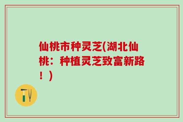 仙桃市种灵芝(湖北仙桃：种植灵芝致富新路！)