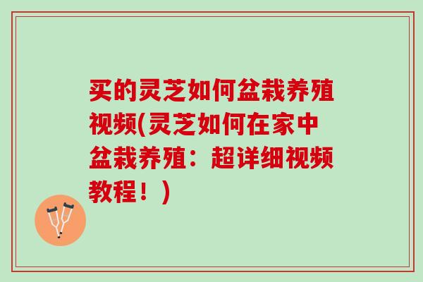 买的灵芝如何盆栽养殖视频(灵芝如何在家中盆栽养殖：超详细视频教程！)