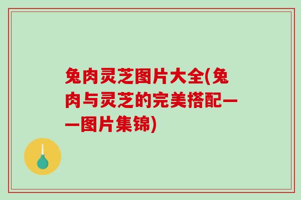 兔肉灵芝图片大全(兔肉与灵芝的完美搭配——图片集锦)