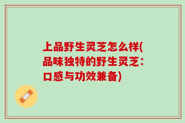 上品野生灵芝怎么样(品味独特的野生灵芝：口感与功效兼备)