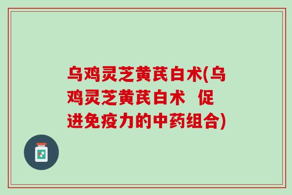 乌鸡灵芝黄芪白术(乌鸡灵芝黄芪白术  促进免疫力的组合)