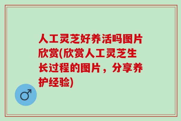 人工灵芝好养活吗图片欣赏(欣赏人工灵芝生长过程的图片，分享养护经验)
