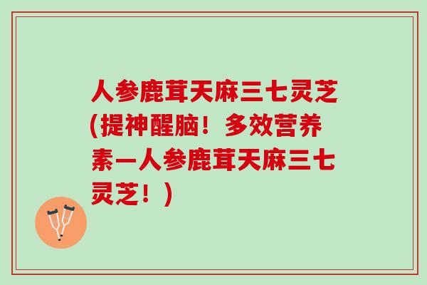 人参鹿茸天麻三七灵芝(提神醒脑！多效营养素―人参鹿茸天麻三七灵芝！)