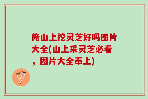 俺山上挖灵芝好吗图片大全(山上采灵芝必看，图片大全奉上)
