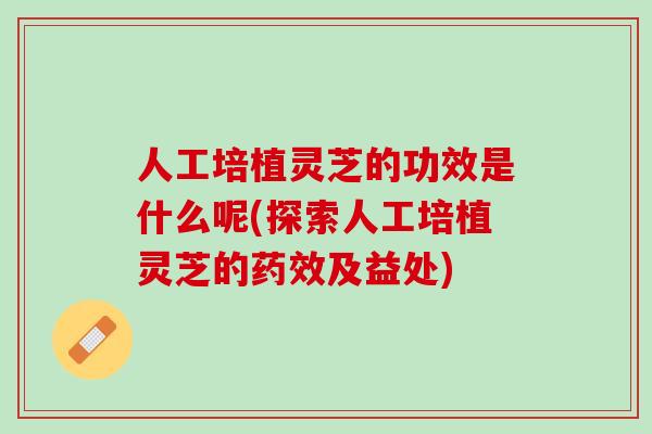 人工培植灵芝的功效是什么呢(探索人工培植灵芝的及益处)