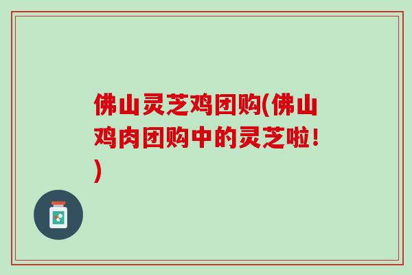 佛山灵芝鸡团购(佛山鸡肉团购中的灵芝啦！)
