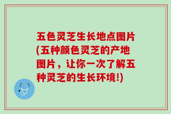 五色灵芝生长地点图片(五种颜色灵芝的产地图片，让你一次了解五种灵芝的生长环境!)