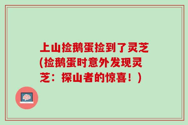 上山捡鹅蛋捡到了灵芝(捡鹅蛋时意外发现灵芝：探山者的惊喜！)