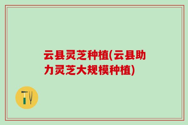 云县灵芝种植(云县助力灵芝大规模种植)