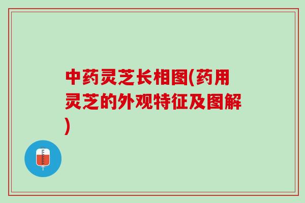 中药灵芝长相图(药用灵芝的外观特征及图解)