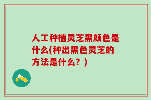 人工种植灵芝黑颜色是什么(种出黑色灵芝的方法是什么？)
