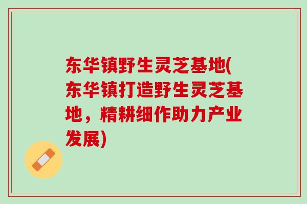 东华镇野生灵芝基地(东华镇打造野生灵芝基地，精耕细作助力产业发展)