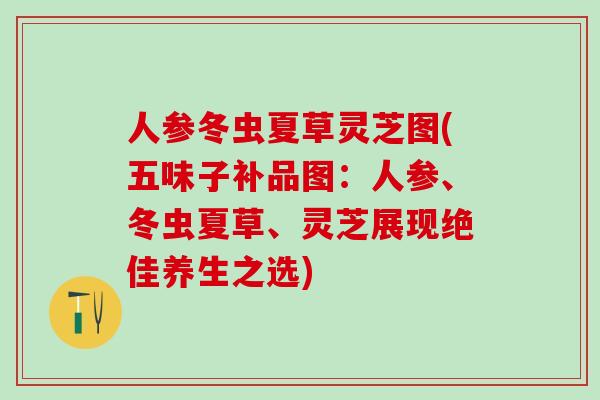 人参冬虫夏草灵芝图(五味子补品图：人参、冬虫夏草、灵芝展现绝佳养生之选)