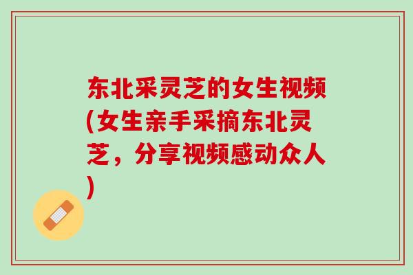 东北采灵芝的女生视频(女生亲手采摘东北灵芝,分享视频感动众人) 东北采灵芝的女生视频(女生亲手采摘东北灵芝,分享视频感动众人)