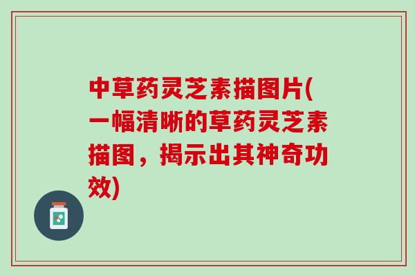 中草药灵芝素描图片(一幅清晰的草药灵芝素描图,揭示出其神奇功效) 中草药灵芝素描图片(一幅清晰的草药灵芝素描图,揭示出其神奇功效)
