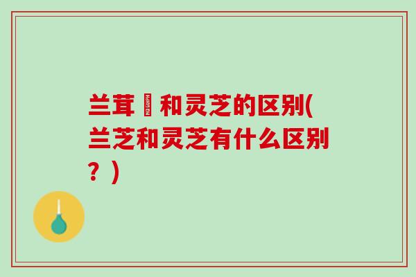 兰茸艼和灵芝的区别(兰芝和灵芝有什么区别？)