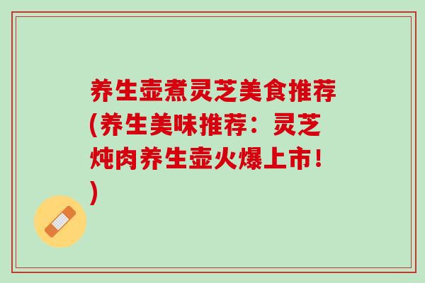 养生壶煮灵芝美食推荐(养生美味推荐：灵芝炖肉养生壶火爆上市！)