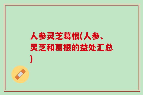 人参灵芝葛根(人参、灵芝和葛根的益处汇总)