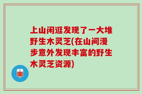 上山闲逛发现了一大堆野生木灵芝(在山间漫步意外发现丰富的野生木灵芝资源)
