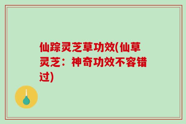 仙踪灵芝草功效(仙草灵芝：神奇功效不容错过)