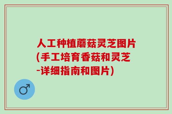 人工种植蘑菇灵芝图片(手工培育香菇和灵芝-详细指南和图片)